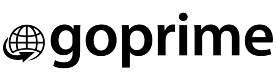 GOPRIME NETWORKS & SYSTEMS PVT LTD